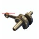 ALBERO MOTORE MINI QUAD 49cc 2T